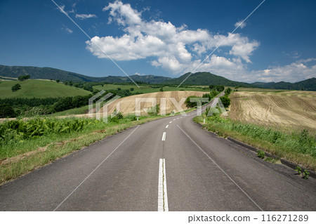 一條穿過高原牧場的道路 一條穿過高原牧場的道路 116271289