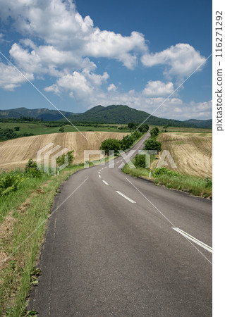 一條穿過高原牧場的道路 一條穿過高原牧場的道路 116271292