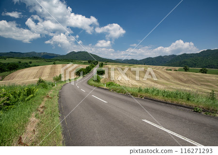 一條穿過高原牧場的道路 一條穿過高原牧場的道路 116271293