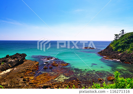 Mihogasaki in early summer 116271316