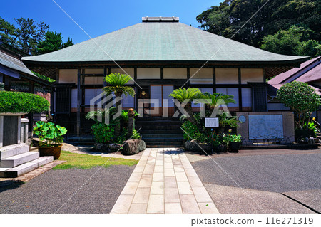 The main hall of Shimoda Gyokusenji Temple The main hall of Shimoda Gyokusenji Temple 116271319
