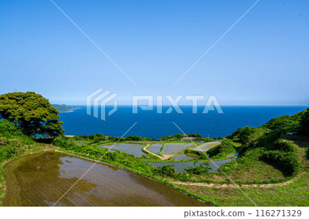 托哥巴塔 托哥巴塔梯田 托哥巴塔 托哥巴塔梯田 116271329