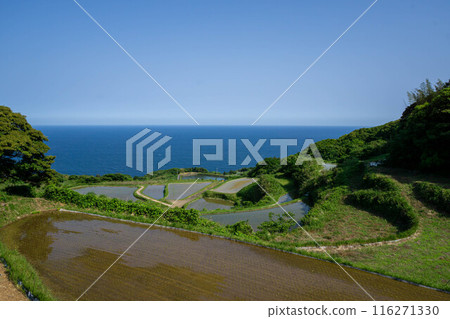托哥巴塔 托哥巴塔梯田 托哥巴塔 托哥巴塔梯田 116271330