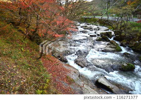 I went to the Nagura River Valley #102 I went to the Nagura River Valley #102 116271377