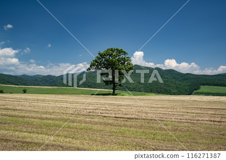 Naitai Takahara Ranch Naitai Takahara Ranch 116271387