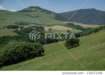 Naitai Takahara Ranch 116271396