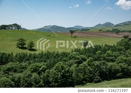 Naitai Takahara Ranch 116271397