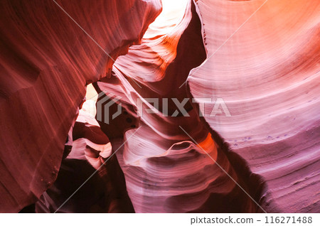 Light falls beneath Antelope Canyon Light falls beneath Antelope Canyon 116271488