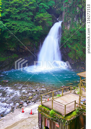 初夏的大瀧 116271518