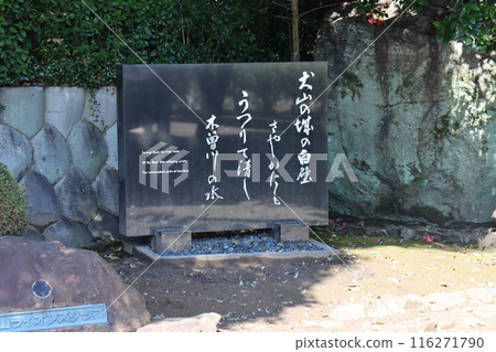 Inuyama Castle 116271790