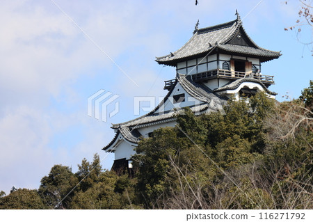 Inuyama Castle 116271792