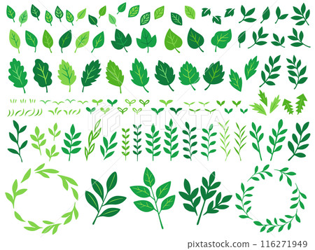 Green plant hand-drawn illustration set 116271949