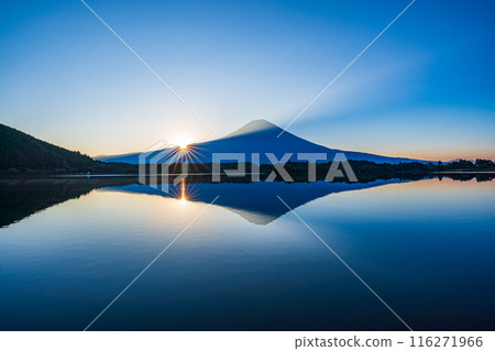 [Shizuoka Prefecture] Mt. Fuji seen from Lake Tanuki in summer at sunrise 116271966