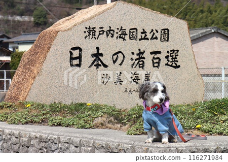 薩米海岸 116271984