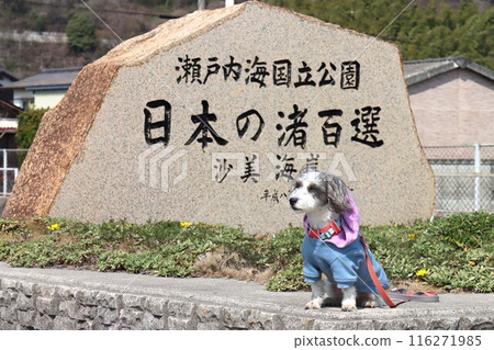 薩米海岸 薩米海岸 116271985