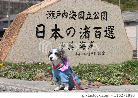薩米海岸 薩米海岸 116271986