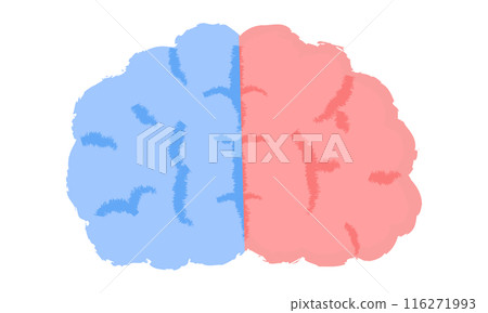 Right and left brain image, handwritten style Right and left brain image, handwritten style 116271993