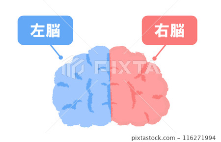 右腦和左腦的圖像，手寫風格 116271994