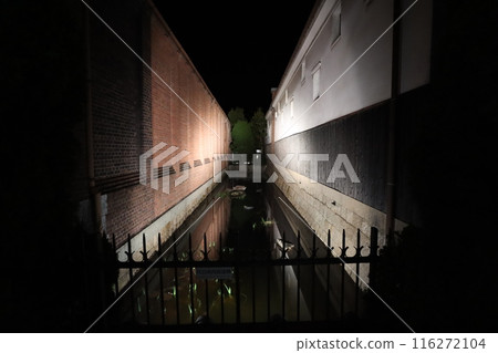 Aesthetic district 116272104
