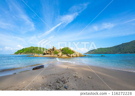 coconut trees near water, landscape, tropical, beach, palm trees 116272228