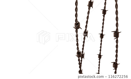 The rusty barbed wire png image 3d rendering. The rusty barbed wire png image 3d rendering. 116272256