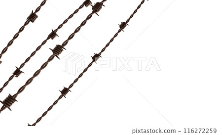 The rusty barbed wire png image 3d rendering. 116272259