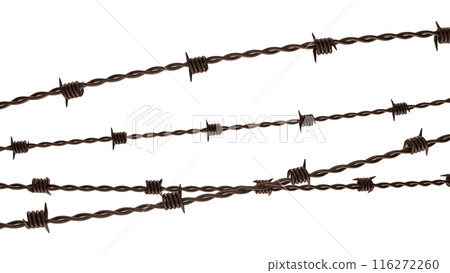 The rusty barbed wire png image 3d rendering. 116272260