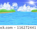 海 116272441