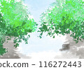 風景 116272443
