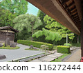 老房子 116272444