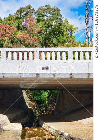 Kyoto: Autumn leaves at Ichijo-modoribashi Bridge (Kamigyo Ward, Kyoto City) 116273278