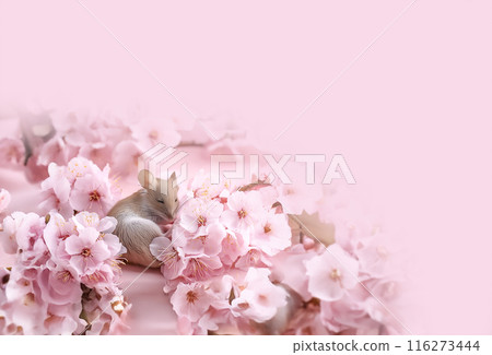CG material: Image of a baby mouse and cherry blossoms 116273444
