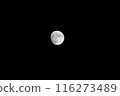 月 116273489