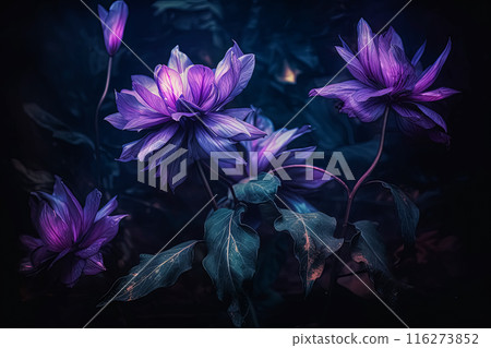 A bouquet of purple flowers with a blue background. 116273852