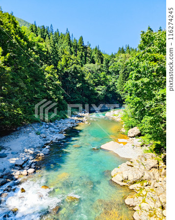 中津川谷（秋山鄉） 116274245