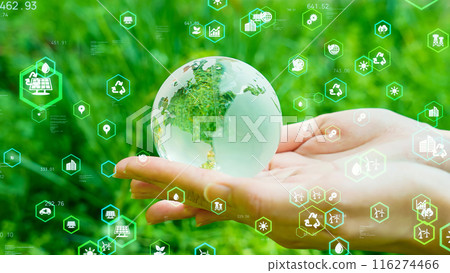 Global Environmental Image Ecology Sustainable SDGs 116274466