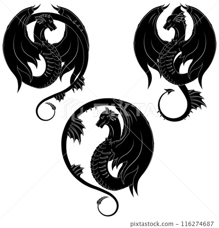 European medieval dragons European medieval dragons 116274687