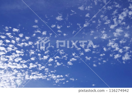藍天上的捲雲 藍天上的捲雲 116274942