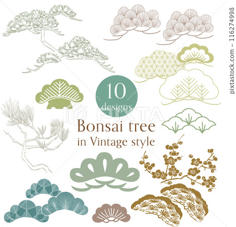 Set of green and brown hand drawn branch of bonsai tree with Japanese pattern vector. Oriental pine tree decoration with logo design, flyer or presentation in vintage style. 116274998