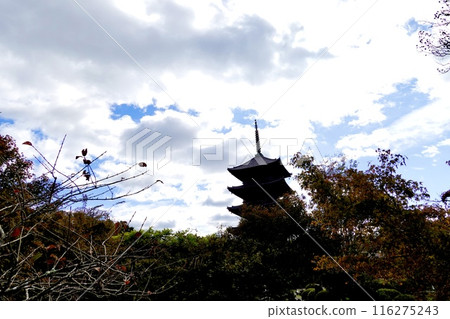 京都府京都市南區,透過紅葉樹林可以看到東寺(教王護國寺)五層塔的輪廓的風景 京都府京都市南區,透過紅葉樹林可以看到東寺(教王護國寺)五層塔的輪廓的風景 116275243