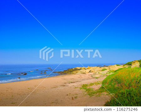 從海岸線看到的南房總白濱海岸 從海岸線看到的南房總白濱海岸 116275246