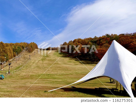 長野縣詰訪郡富士見町富士見高原滑雪場搭建的豪華帳篷景觀 116275301