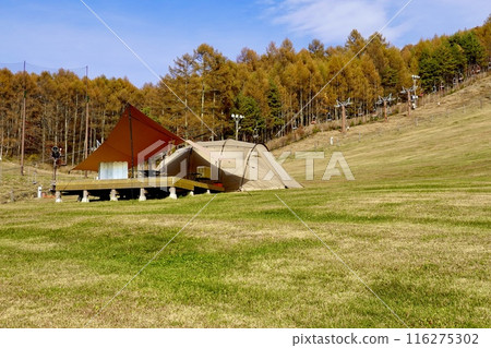 長野縣詰訪郡富士見町富士見高原滑雪場搭建的豪華帳篷景觀 116275302