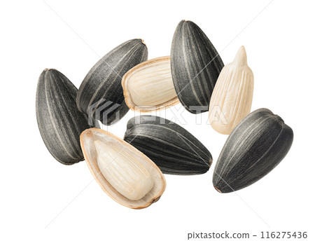 Sunflower seeds isolated on white background. Top view. For cereal sets 116275436
