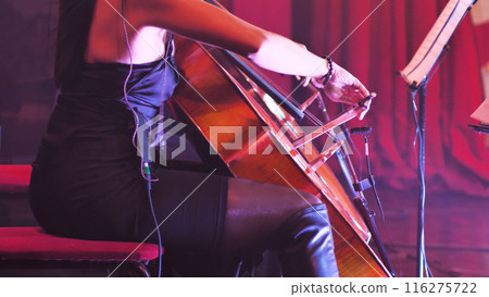 A talented woman passionately playing the cello onstage during a live performance, surrounded by stage lights. Her dedication and skill are evident in this captivating moment of musical harmony. A talented woman passionately playing the cello onstage during a live performance, surrounded by stage lights. Her dedication and skill are evident in this captivating moment of musical harmony. 116275722