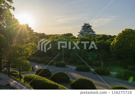 黃昏的天空和大阪城塔 116275728