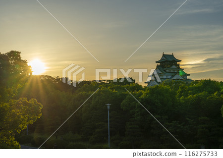 黃昏的天空和大阪城塔 116275733