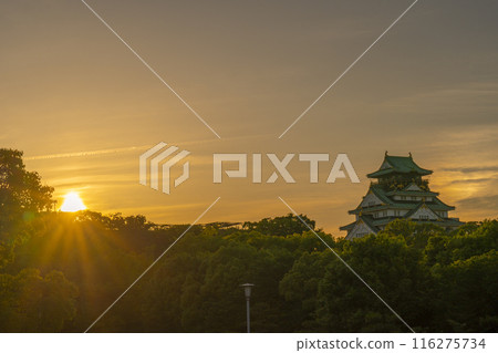 黃昏的天空和大阪城塔 116275734