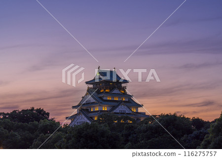 Twilight sky and Osaka Castle tower illuminated 116275757