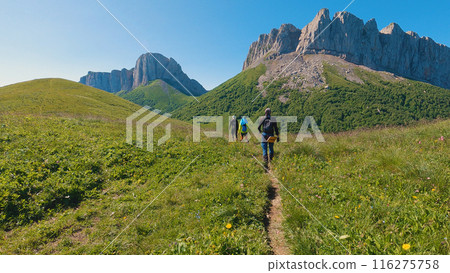 A group of hikers make their way along a narrow trail amidst lush greenery, heading for a rocky peak under a clear blue sky. Dressed in outdoor gear, they hike through the scenic mountain landscape. A group of hikers make their way along a narrow trail amidst lush greenery, heading for a rocky peak under a clear blue sky. Dressed in outdoor gear, they hike through the scenic mountain landscape. 116275758